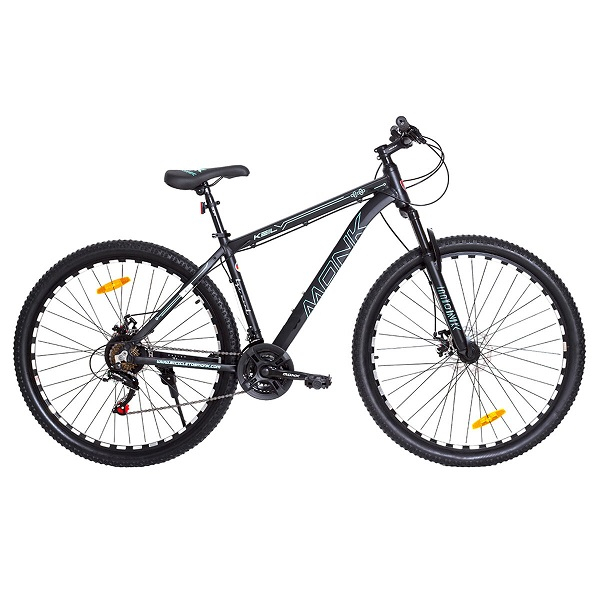 BIC. ARO 29 MTB MONK GRIS 