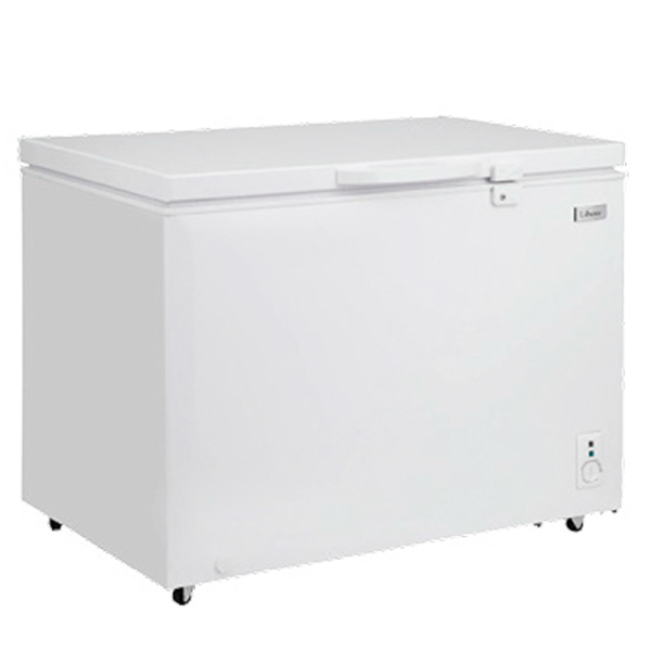 FREEZER HORIZONTAL LFH-300 