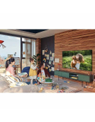 TV LED 55" QN55Q60AAGXZS 