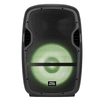PARLANTE KARAOKE ACTIVO PROBASS ELEVATE LP 