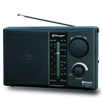 RADIO PORTATIL TT-CF18BT 