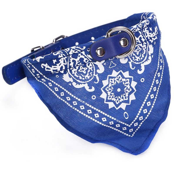 COLLAR BANDANA 42CM AZUL 