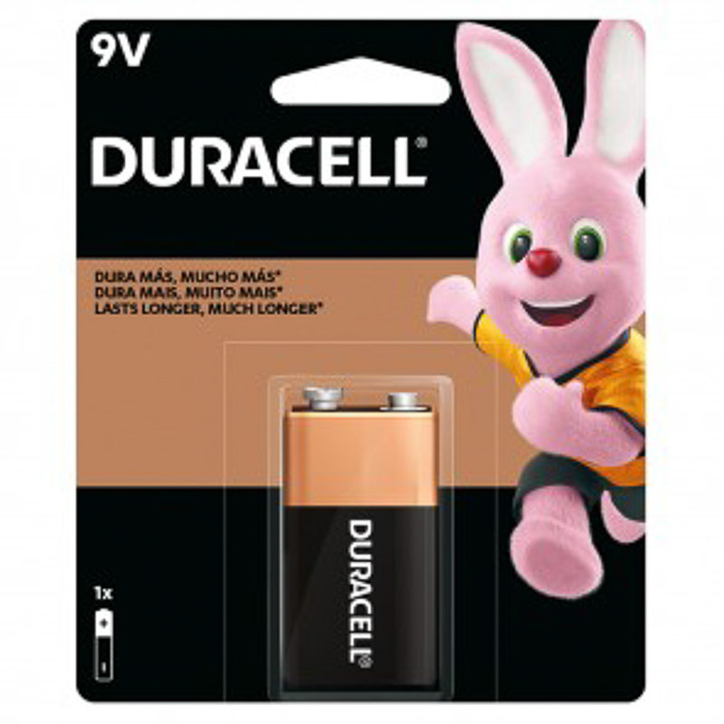 BLISTER DE PILAS ALCALINAS AAA X2 DURACELL – Electro Store