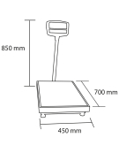 BALANZA 300 KG. DY618 