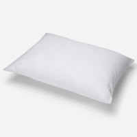 ALMOHADA PLUS 50X70 