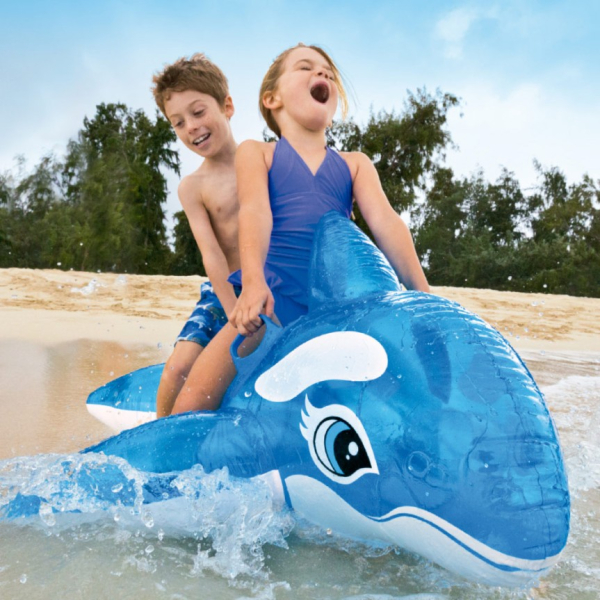 FLOTADOR DELFIN 58523 NP 
