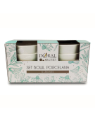 SET 6 BOWL PORCELANA 13.9CM 