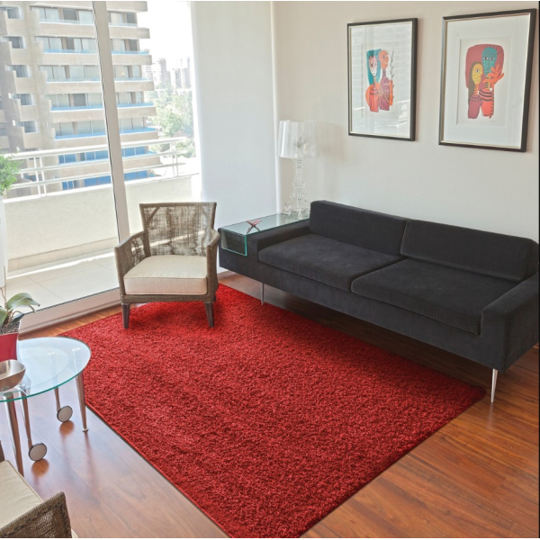 ALF.SHAGGY PREM.170X230 ROJO 