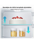 REFRIGERADOR RD-22DC BOTT.F 
