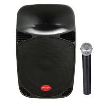 PARLANTE 8 1100W PMPO 