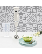 HAND BLENDER SOLEIL 450W 